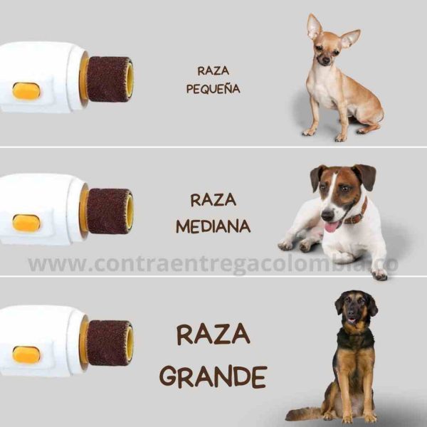 Petpedicure para perros - Imagen 2